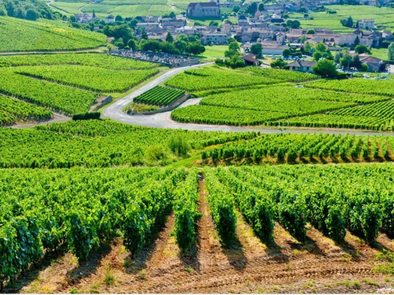 La Bourgogne gourmande