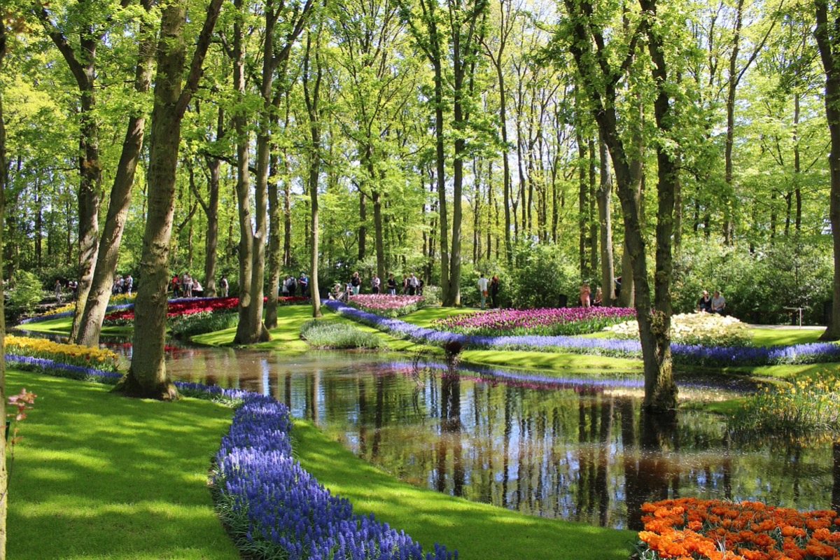 Pays-Bas et Keukenhof, Hollande des fleurs, des polders et des moulins